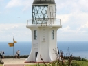 whangarei (42)